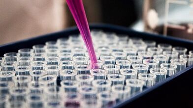 Comment passer des tests pour la détection des parasites dans le corps